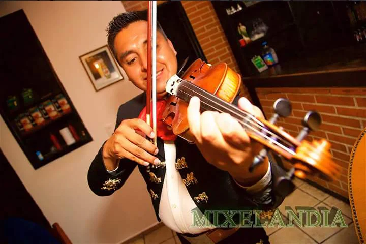 Mariachi en zona Izcalli Mariachis económicos zona Izcalli
